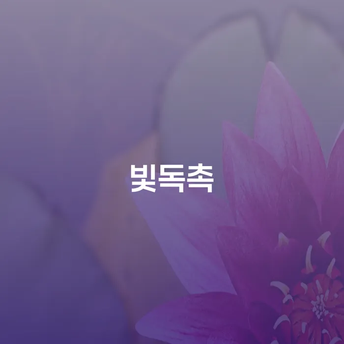 회생파산 개인회생 문제해결방법 해결 방법 알려드려요.