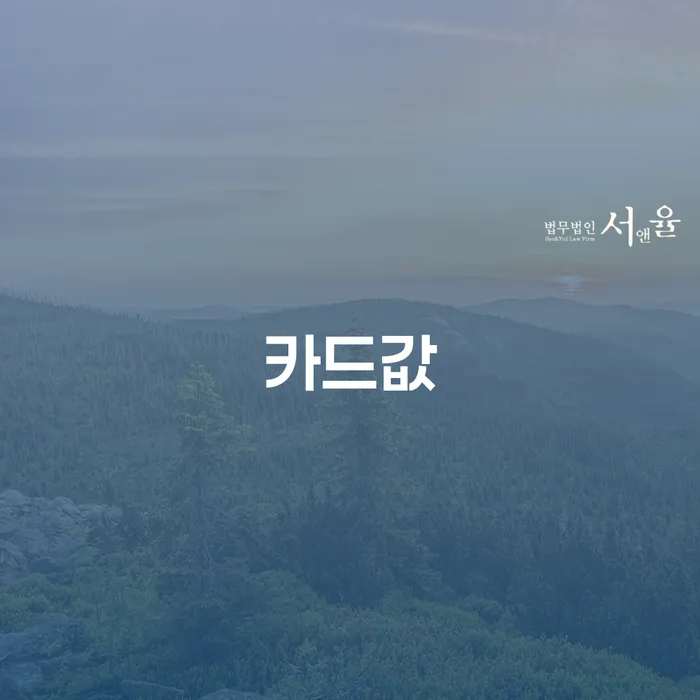 사업자회생 개인회생 잘하는 변호사