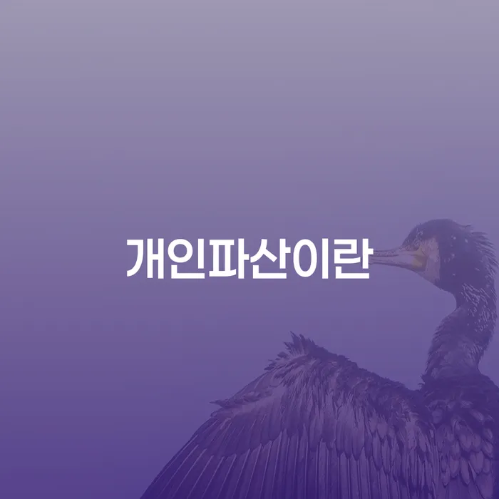 개인회생특별면책 빚청산 성공은