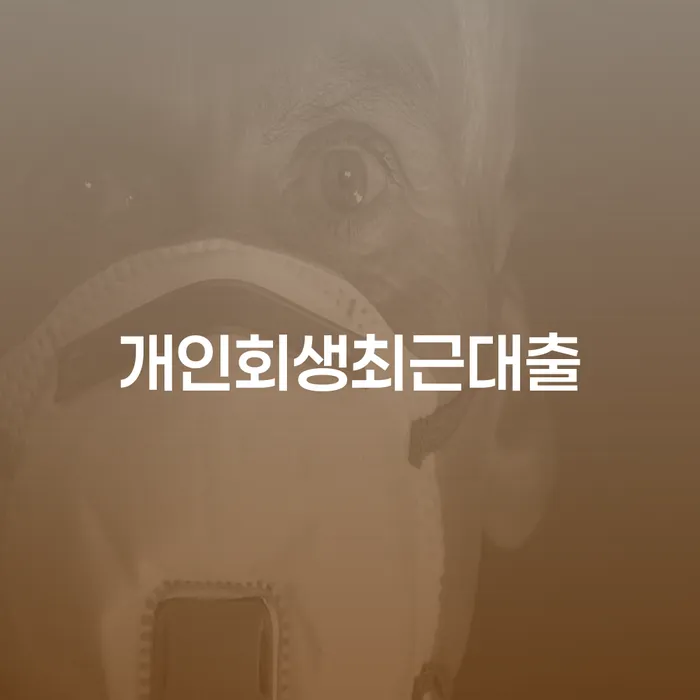 개인회생신청비용 저렴하고 추심 대응법 잘 하는 법무법인