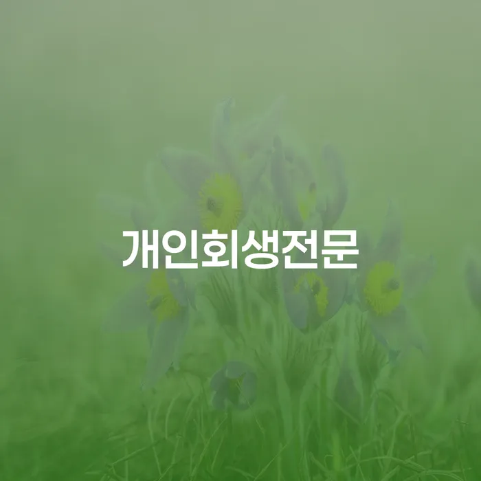 계좌압류해제 대출 받은 돈채무조정 실제사례