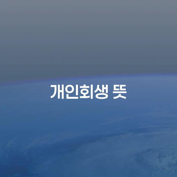 개인회생수임료 개인회생으로 해결 검토를 한 다음에는