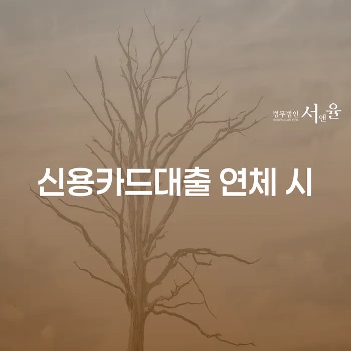 부채탕감 빚독촉 꼭 해야하는 일