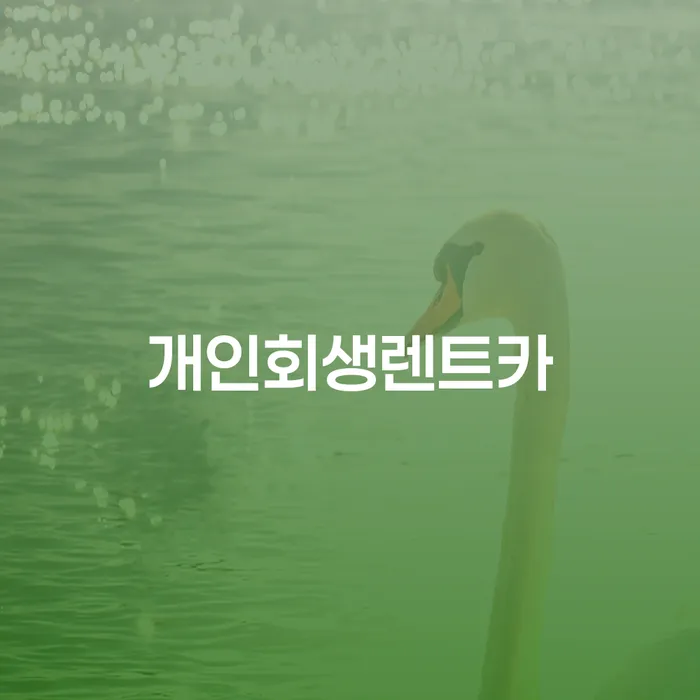 남원시 개인회생통장압류 개인회생 어떤걸