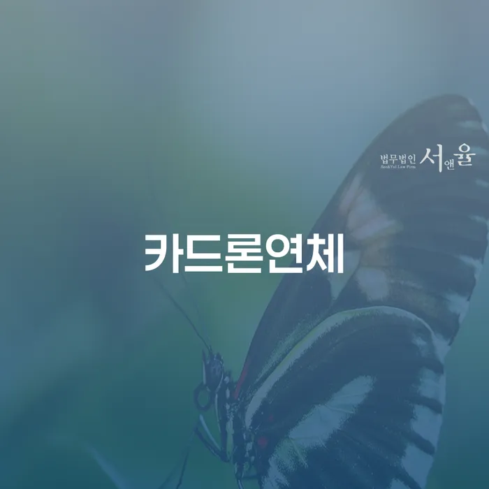 강서구 개인회생변호사 채무조정제도을 이용하여 대해서