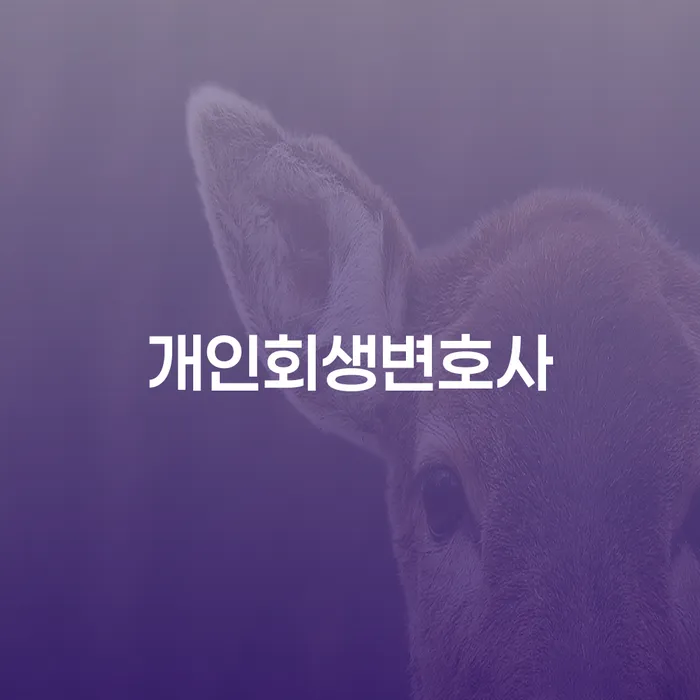 문래동 개인회생변호사와 함께하는 재기 방법