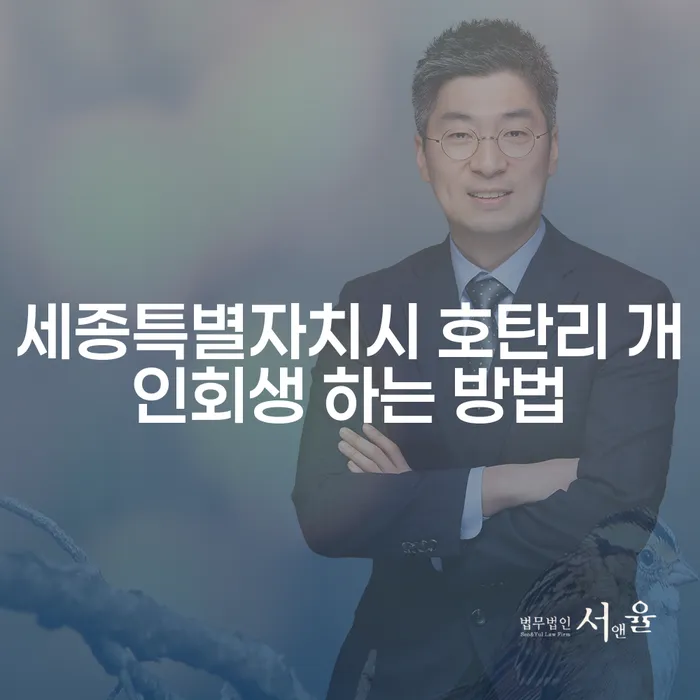 세종특별자치시 호탄리에서 개인회생을 성공적으로 하는 방법은 무엇일까요?