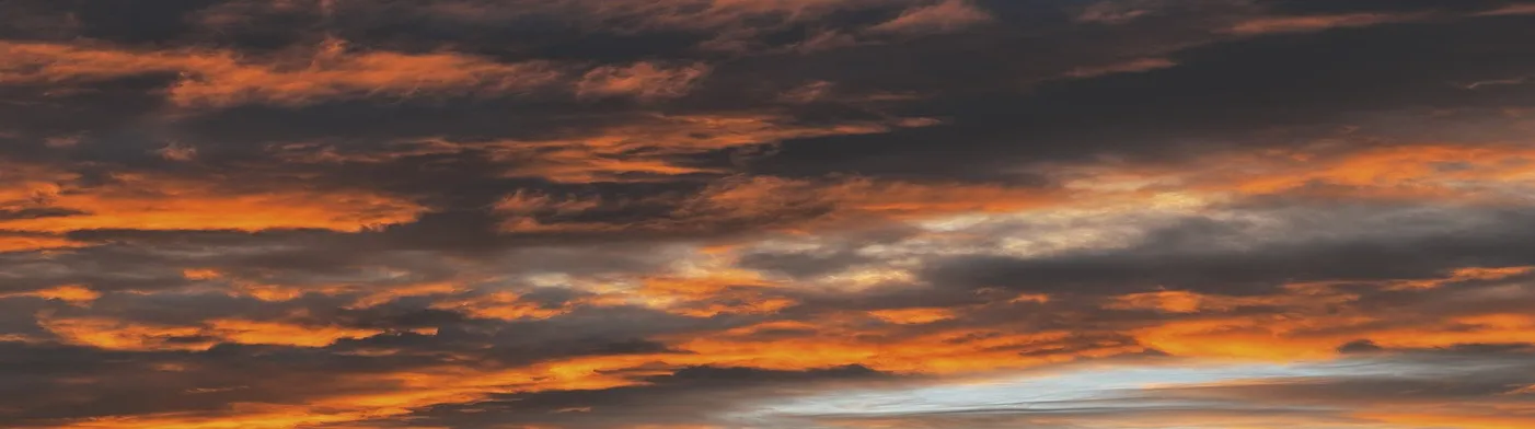 법무법인 서앤율